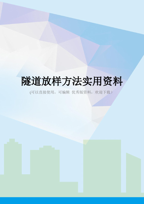 隧道放样方法实用资料