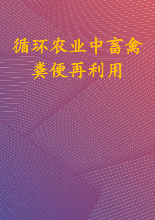 循环农业中畜禽粪便再利用