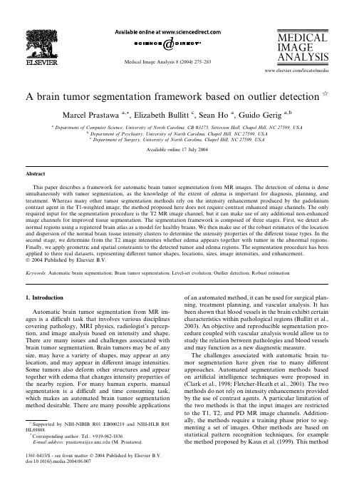 文献 (3)A brain tumor segmentation framework based on outlier detection