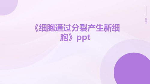 《细胞通过分裂产生新细胞》ppt