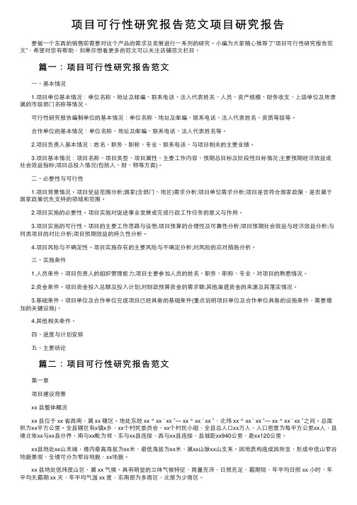 项目可行性研究报告范文项目研究报告