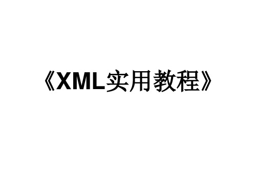 XML实用教程PPT课件