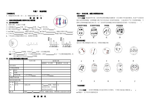 二轮复习学案---细胞增殖