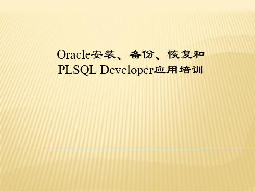 Oracle安装、备份、恢复和PLSQLDeveloper应用培训