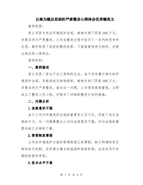 以案为镜反思剖析严肃整改心得体会优秀稿范文