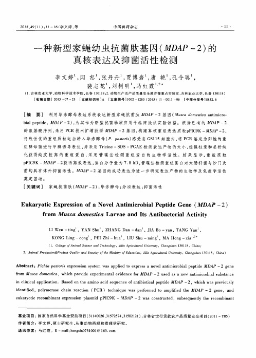 一种新型家蝇幼虫抗菌肽基因(MDAP-2)的真核表达及抑菌活性检测