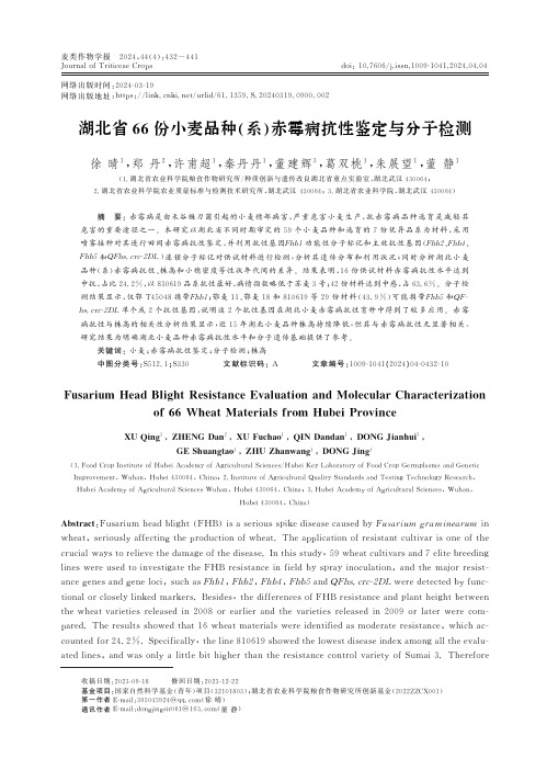 湖北省66份小麦品种(系)赤霉病抗性鉴定与分子检测