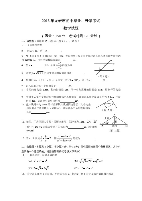 最新-福建龙岩(含答案) 精品