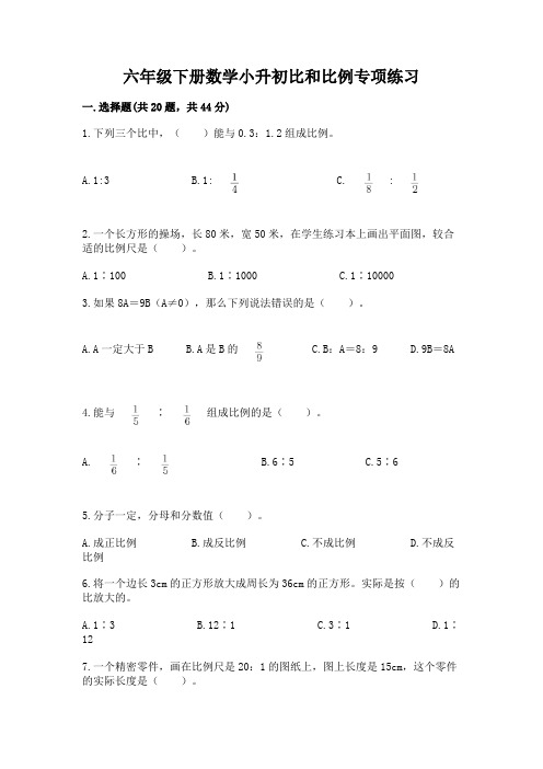 六年级下册数学小升初比和比例专项练习(全优)