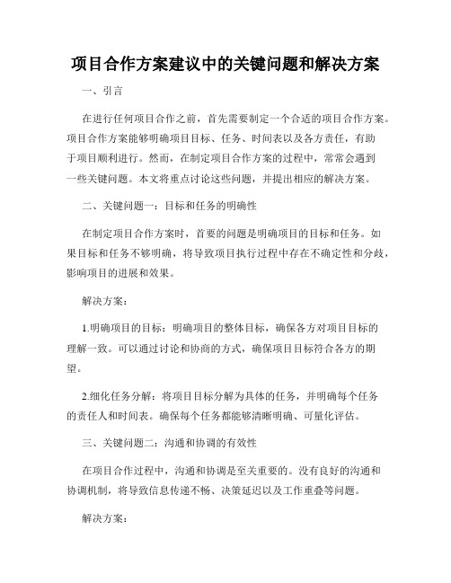 项目合作方案建议中的关键问题和解决方案