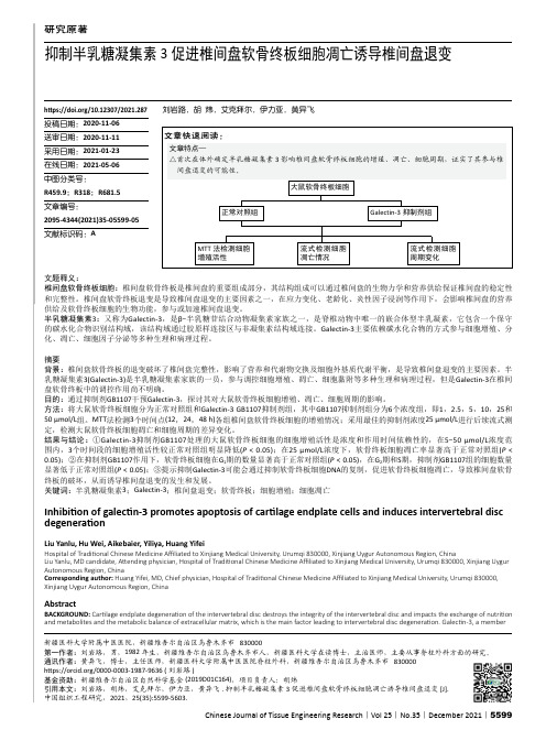 抑制半乳糖凝集素3促进椎间盘软骨终板细胞凋亡诱导椎间盘退变