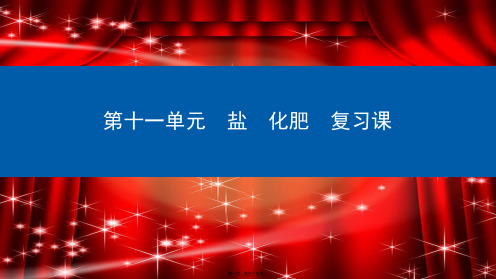 九年级化学下册 第11单元 盐 化肥复习课课件初中