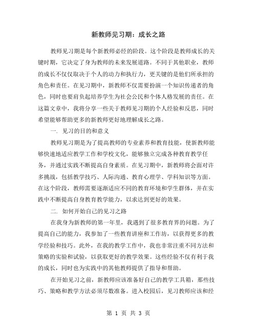 新教师见习期：成长之路