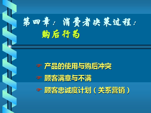 第四章消费者决策过程(三)