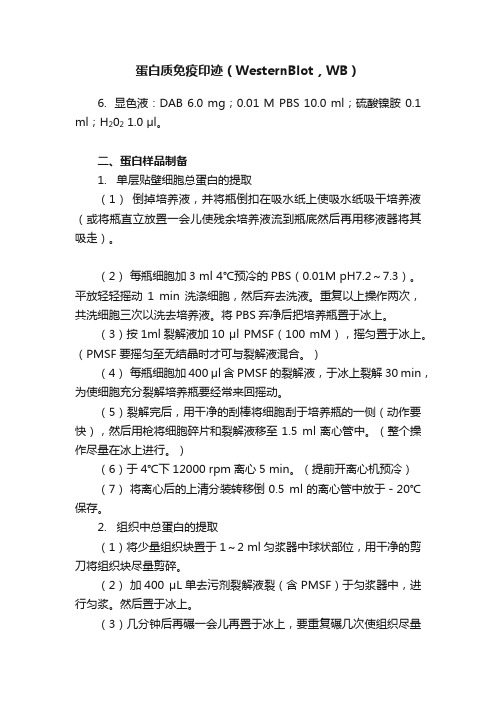 蛋白质免疫印迹（WesternBlot，WB）