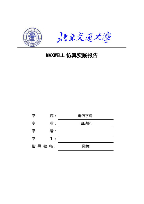 MAXWELL实践报告