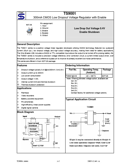 TS9001DCX5资料