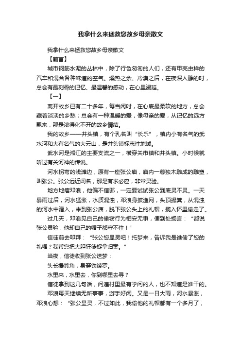 我拿什么来拯救您故乡母亲散文