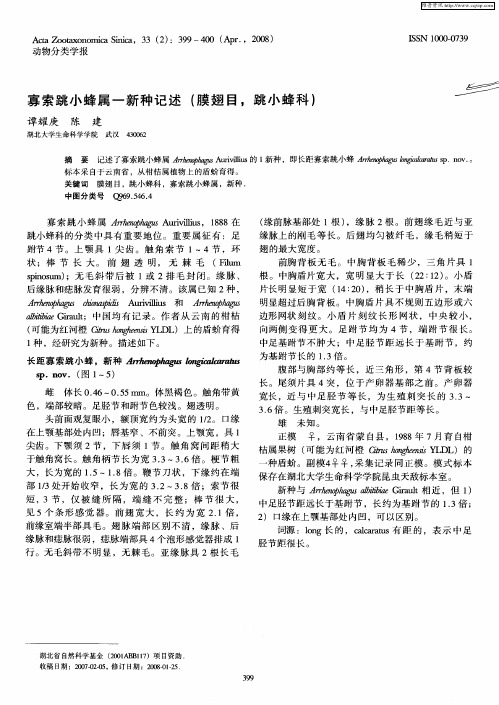 寡索跳小蜂属一新种记述(膜翅目,跳小蜂科)