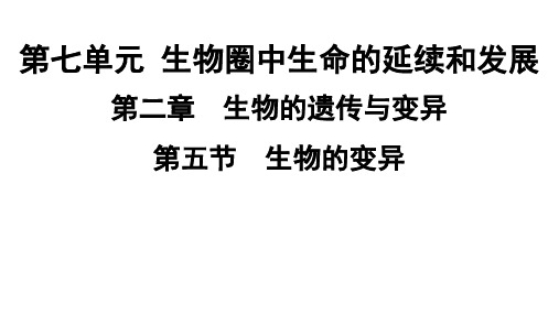 人教版生物八年级下册 第七单元第二章第五节生物的变异习题课件(共35张PPT)