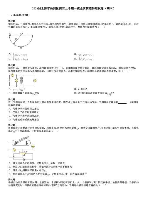 2024届上海市杨浦区高三上学期一模全真演练物理试题(期末)