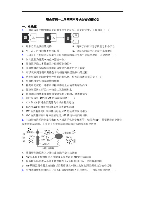 鞍山市高一上学期期末考试生物试题试卷