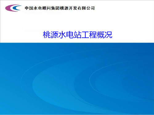 水电站工程建设概况资料整理