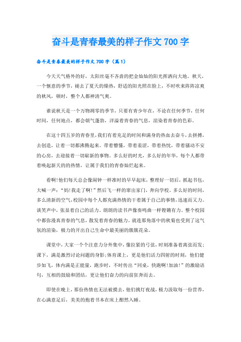 奋斗是青春最美的样子作文700字