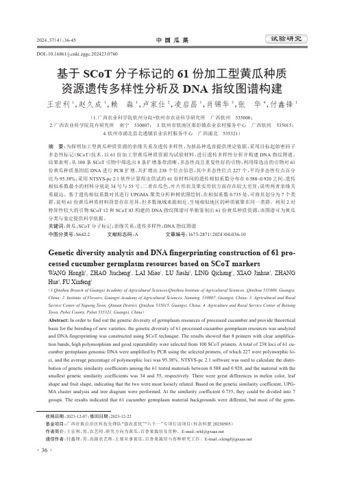 基于SCoT_分子标记的61_份加工型黄瓜种质资源遗传多样性分析及DNA_指纹图谱构建