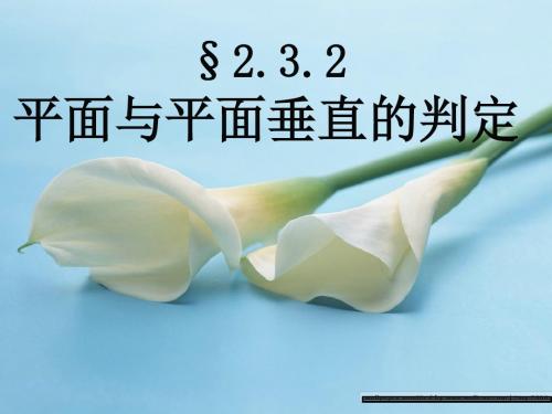 平面与平面垂直的判定(李洪辉)