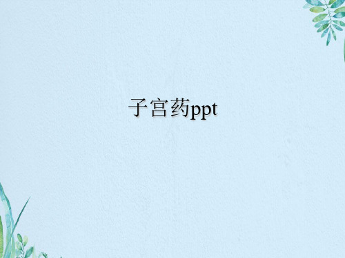 子宫药ppt