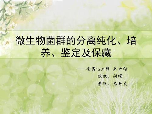 微生物菌种的分离纯化、培养、鉴定和保藏实验方案设计 (1)