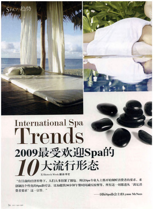 2009最受欢迎Spa的10大流行形态