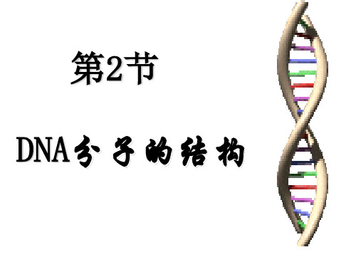 3.2 DNA分子的结构一等奖优秀课件