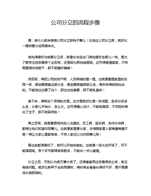 公司分立的流程步骤