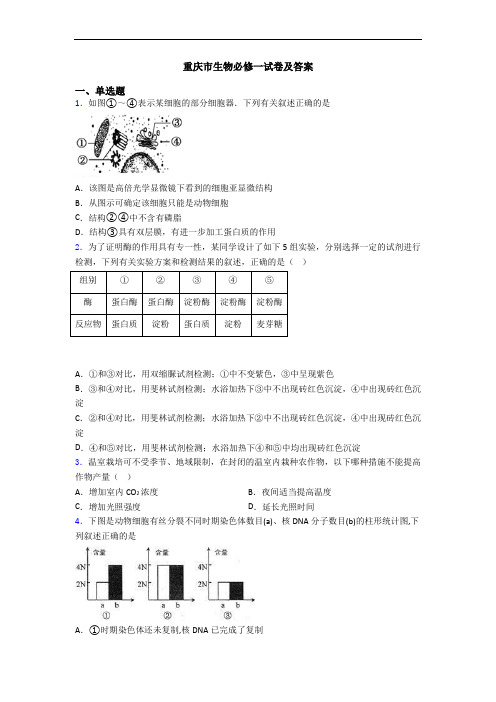 重庆市生物必修一试卷及答案