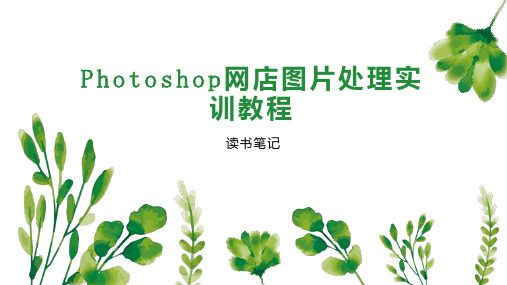 Photoshop网店图片处理实训教程