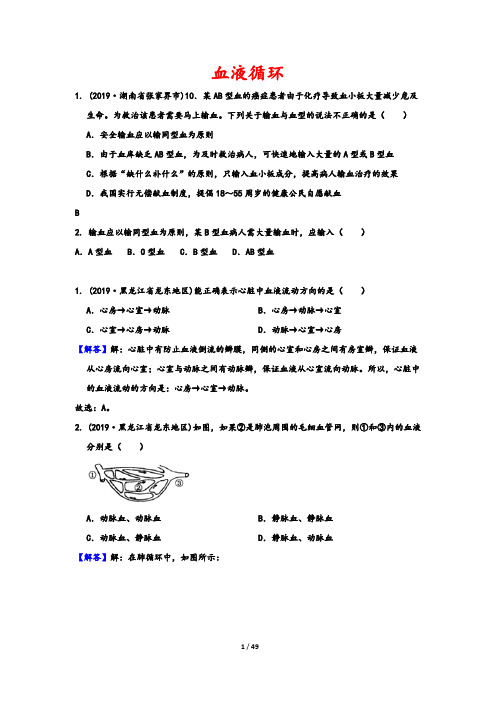 2019中考生物真题分类汇编——血液循环