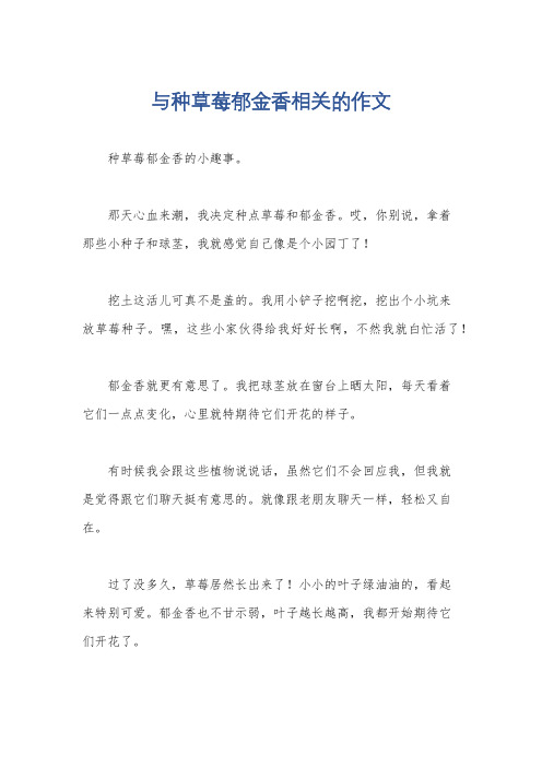 与种草莓郁金香相关的作文