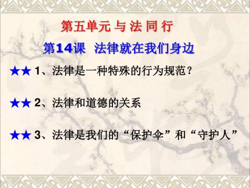 江苏省太仓市八年级政治下册第5单元与法同行第14课《法律就在我们身边》课件苏教版