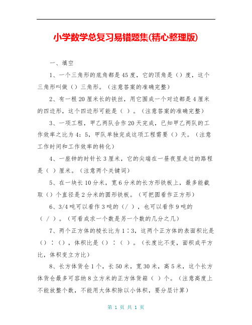 小学数学总复习易错题集(精心整理版)