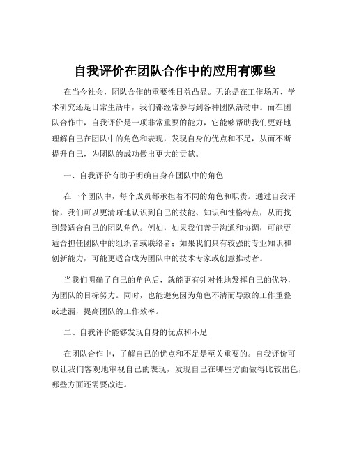 自我评价在团队合作中的应用有哪些