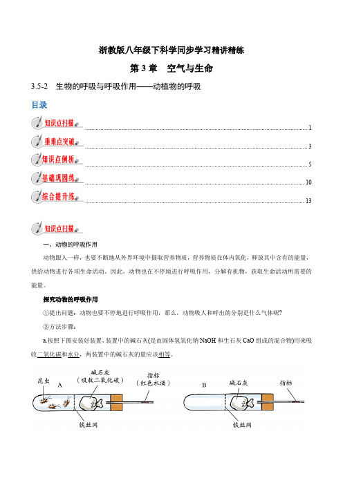 【精品讲义】浙教版 科学 8年级下册 3.5 —动植物的呼吸(教师版含解析)