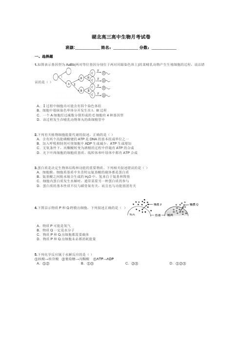 湖北高三高中生物月考试卷带答案解析
