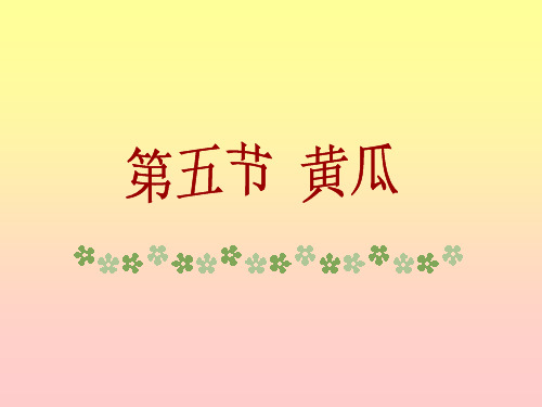 第五节 黄瓜