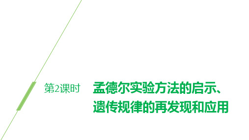 新人教版  必修2 孟德尔实验方法的启示、遗传规律的再发现和应用 课件 (共66张 )