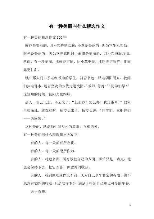 有一种美丽叫什么精选作文