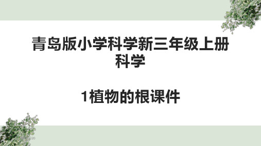 青岛版小学科学新三年级上册科学1植物的根课件