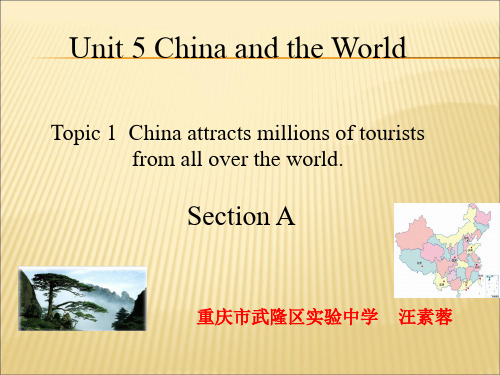 仁爱版九年级英语下Unit 5 Topic1 Section A 教学课件(共21张PPT)