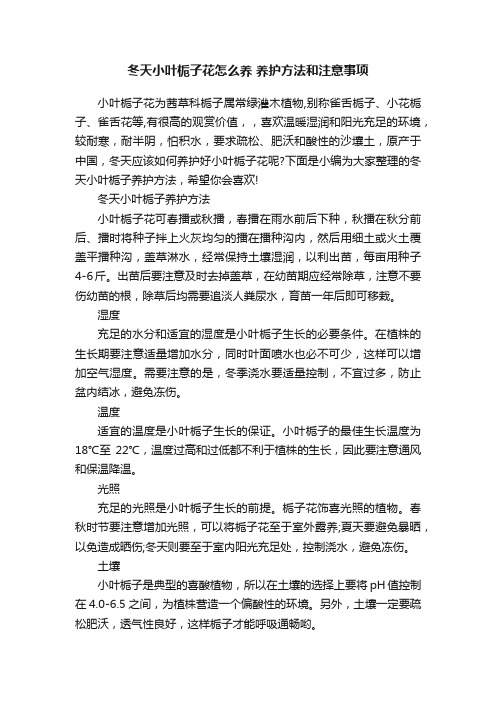 冬天小叶栀子花怎么养养护方法和注意事项